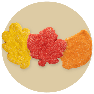Sugar Cookies (18)