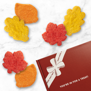 Sugar & Gourmet Cookie Gift Box