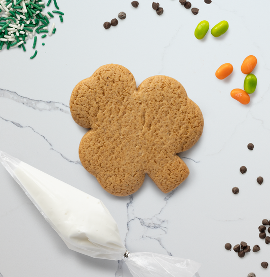 Individual Shamrock Decorating Kit
