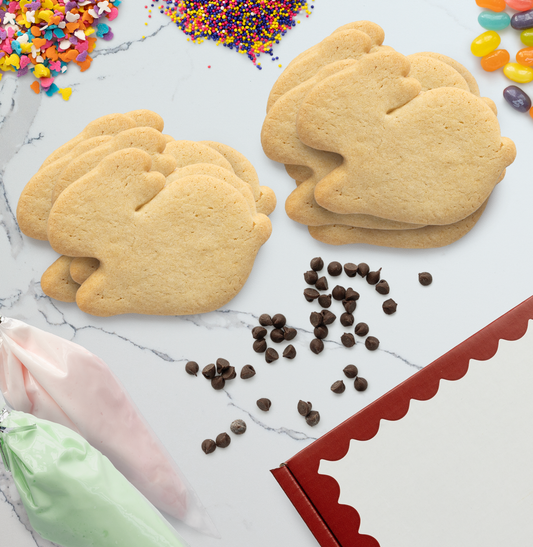 Bunny Sugar Cookie Decorating Kit