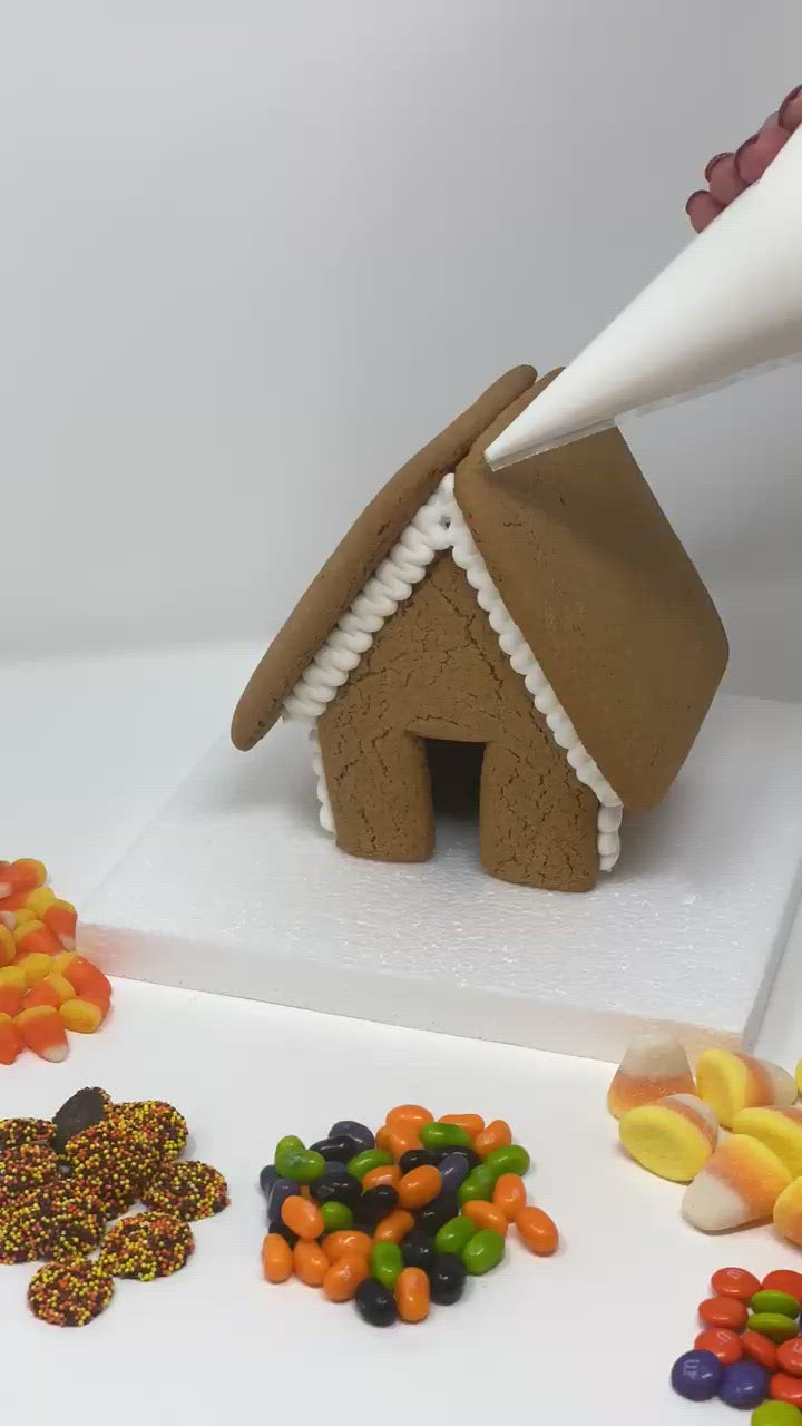 Undecorated Gingerbread House