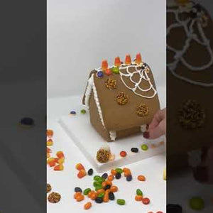 Undecorated Gingerbread House